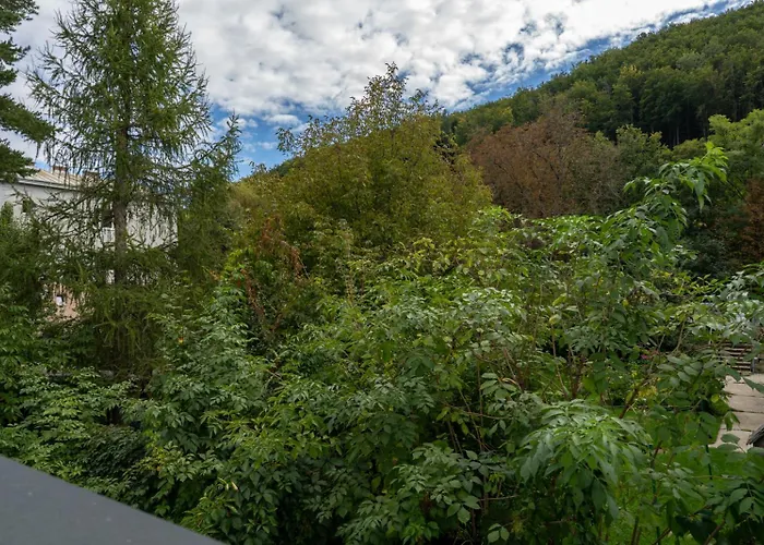 Coy - Garden Comfort For Work Family Near Vienna * Purkersdorf